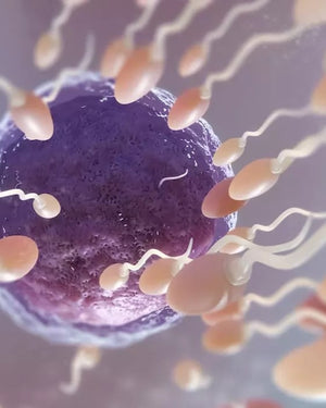 Boosting Sperm Health for Conception: Natural Ways to Support Fertility at Home