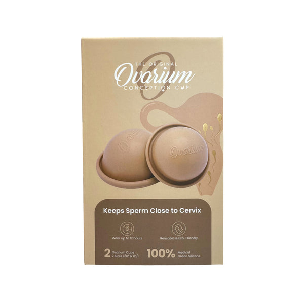 photo of cup box keeps sperm closes to cervix, two sizes, eco-friendly, no leakage, wear up to 12 hours